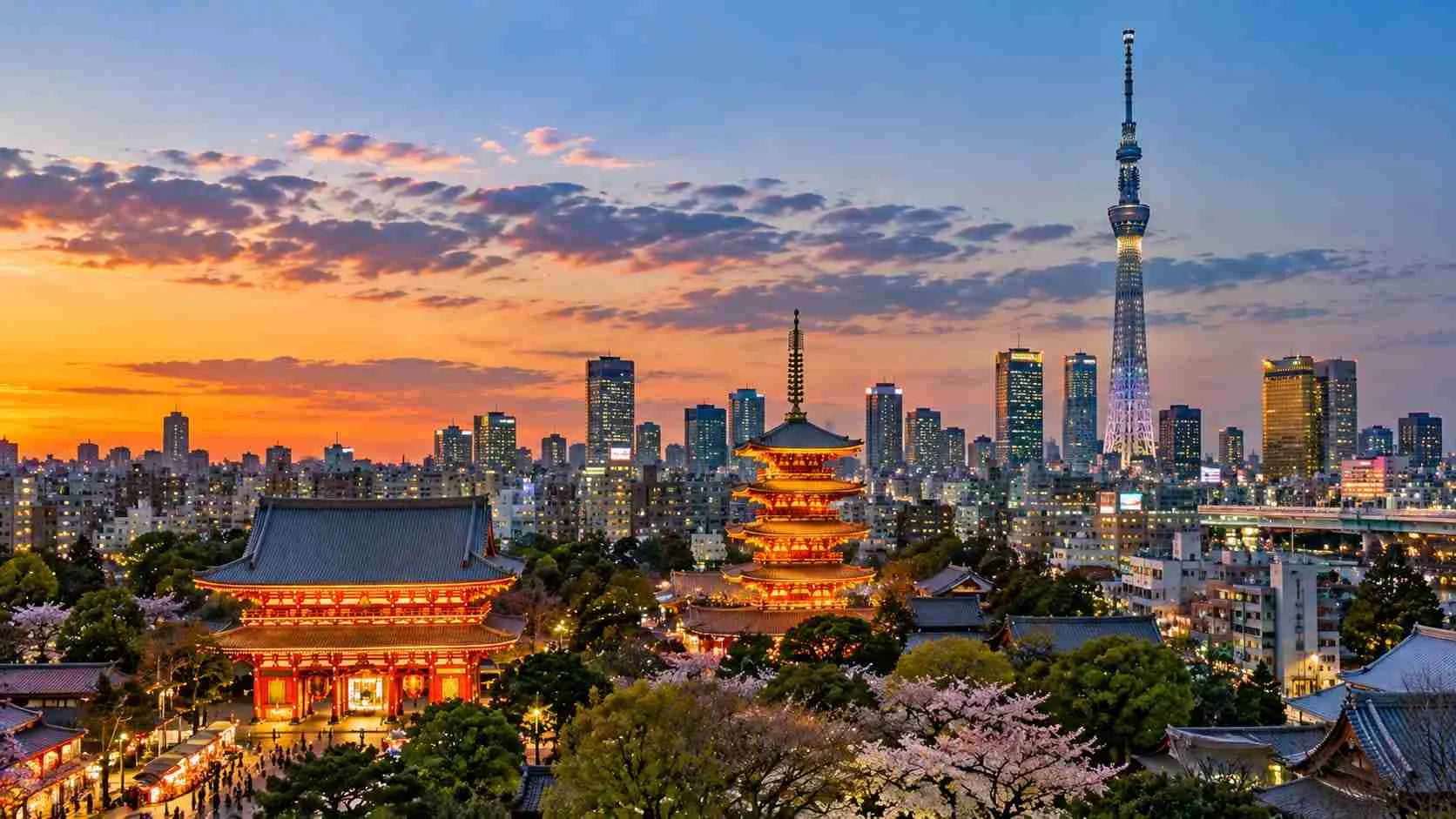 Tokyo restaurants